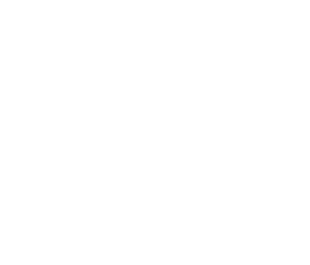 BNI_logo-1.png